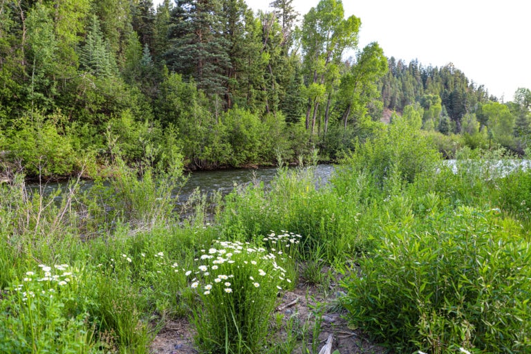 39 Harebell Dr, Pagosa Springs, Colorado - Lot and River