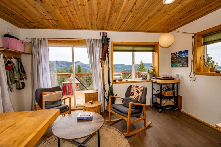 493 Bobcat Lane, Pagosa Springs, Colorado - Living Room