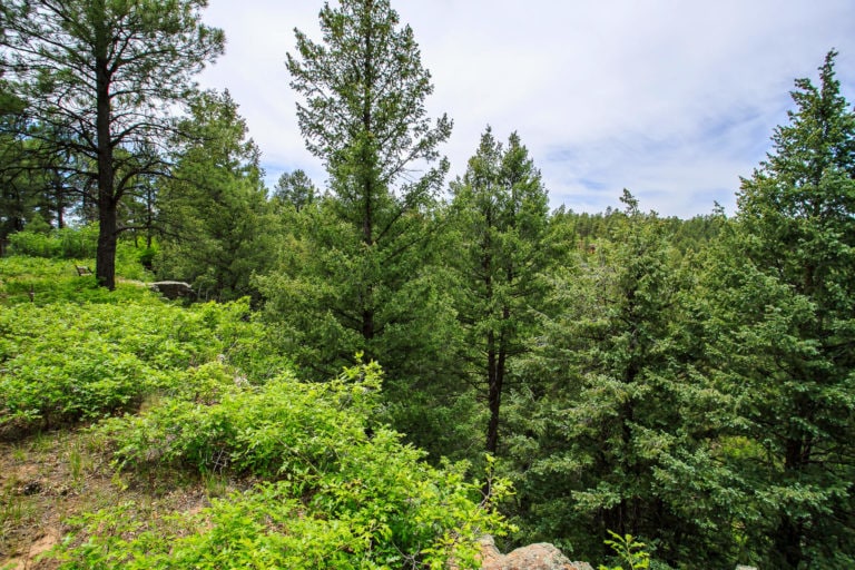 546 TwinCreek Circle, Pagosa Springs Colorado - View from the property