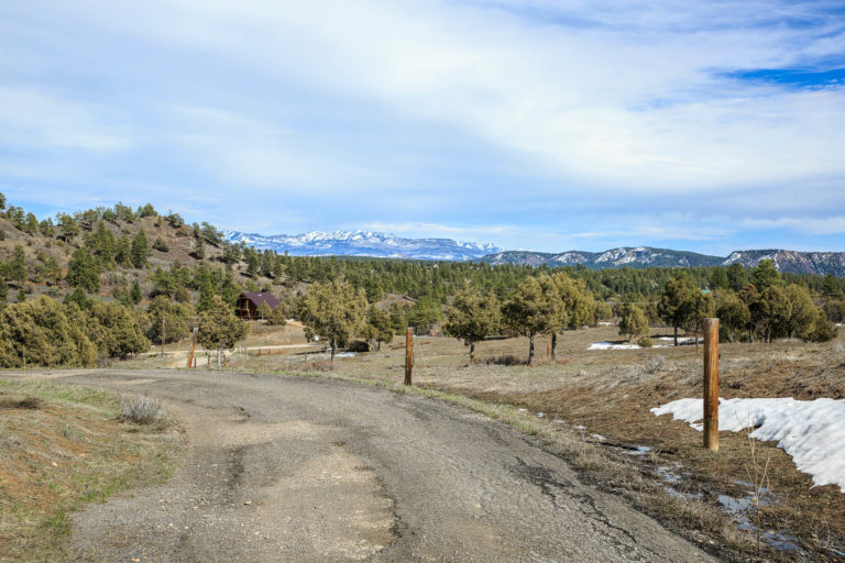 441 Harvard Ave, Pagosa Springs, Colorado - Outside view