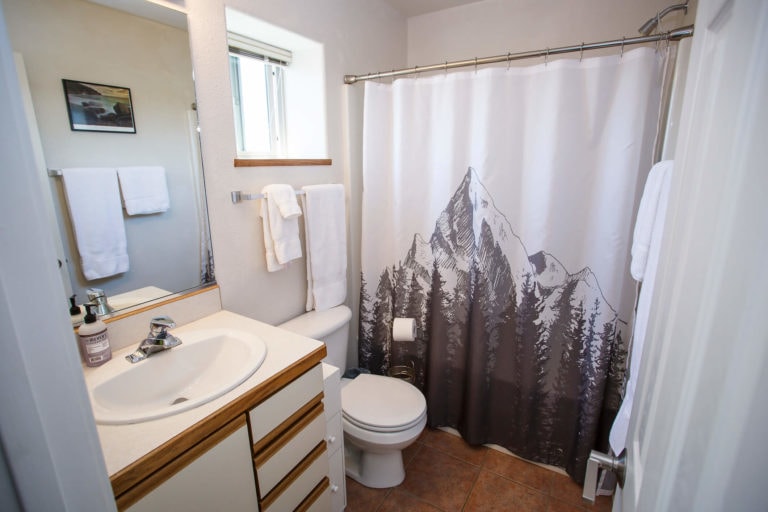 397 Midiron Ave, Pagosa Springs, Colorado - Bathroom