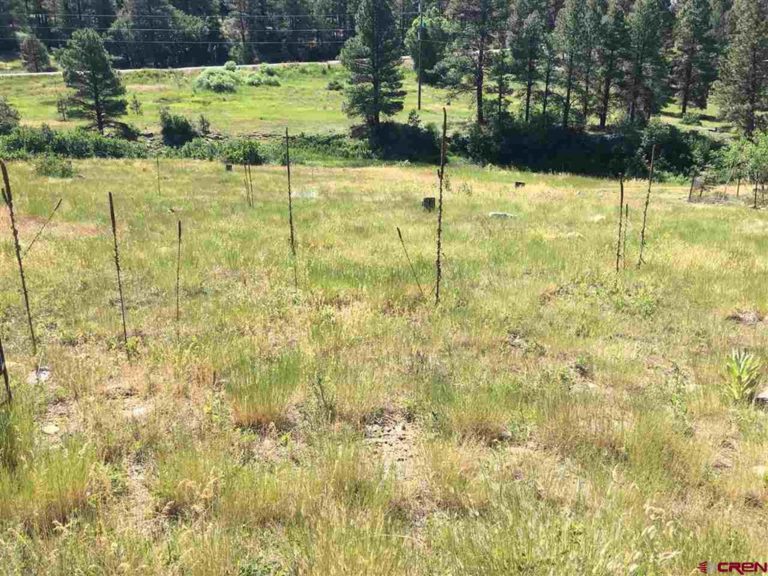 100 Sweetwater Dr, Pagosa Springs, Colorado - Lot View